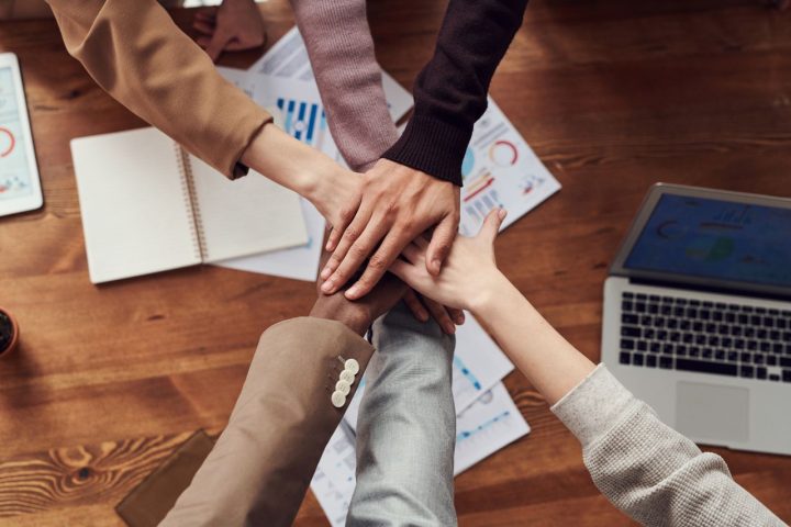 Equipo de usuarios de la plataforma escolar